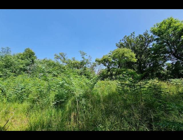 LAND FOR SALE IN SANDHURST